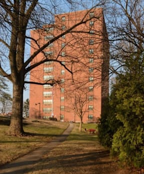 A tall red brick building with a tree in front of it.