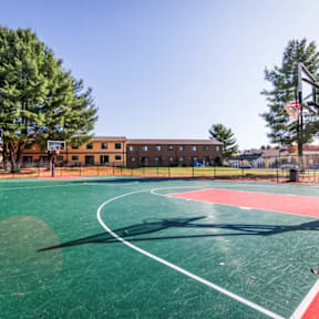 A basketball court with a green surface and white lines, surrounded by a chain link fence and a building in the background.