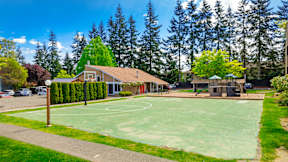 A basketball court is surrounded by a green lawn and trees.