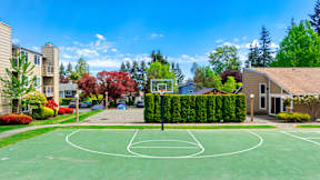A basketball court is surrounded by trees and houses.