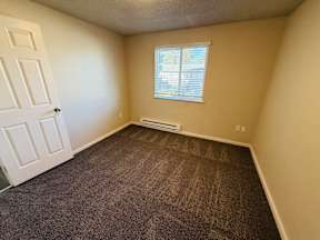 A room with a carpeted floor, a window with blinds, and a door.