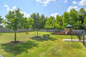 a large grassy area with a playground and trees at Audubon Park Apartment Homes, LA