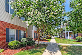 a tree with white flowers in front of a building