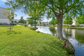 a grassy area next to a body of water with buildings in the background  at Reserve at Gulf Hills Apartment Homes, Ocean Springs, MS