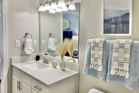 Luxury Bathroom Fittings at Reserve at Park Place Apartment Homes, Mississippi, 39402