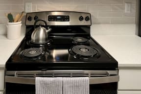Stainless Steel Appliances at Reserve at Park Place Apartment Homes, Hattiesburg, MS, 39402