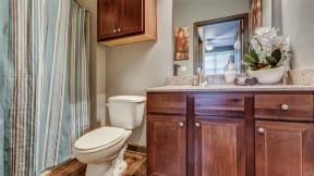 Bathroom Fittings at Audubon Park Apartment Homes, 70791