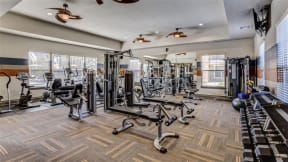 Modern Fitness Center at Audubon Park Apartment Homes, Zachary, Louisiana, 70791