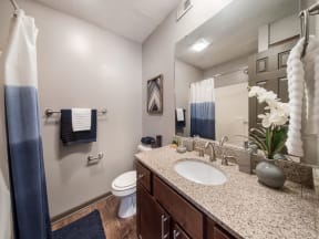Signature Style Bathroom Sink at Cambridge Station Apartment Homes, Oxford, Mississippi, 38655