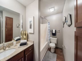 Signature Style Guest Bathroom at Cambridge Station Apartment Homes, Oxford, MS