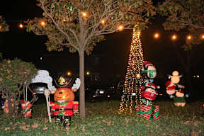 A Christmas tree is lit up at night with a nutcracker in front of it.