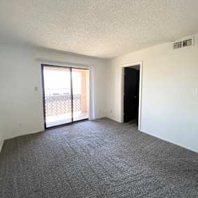 A room with a carpeted floor and a sliding glass door.