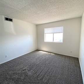 A room with a carpeted floor and a window letting in sunlight.