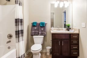 a bathroom with a toilet and a sink and a shower at Century Lakeshore Crossings, Alabama, 35211