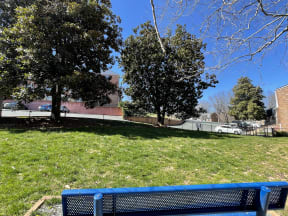 a blue park bench in a grassy area with trees and buildings in the background at Barracks West in Charlottesville, VA