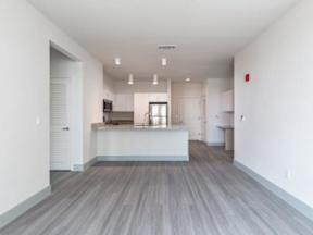 Lengthwise view from the living room leading to the kitchen with hardwood style flooring and modern lights at Lofts at South Lake, Clermont, FL