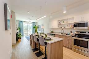 Stainless Steel Appliances at Lofts at South Lake, Florida