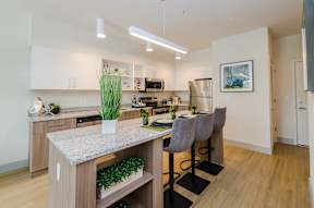Gourmet Kitchen at Lofts at South Lake, Clermont, 34711