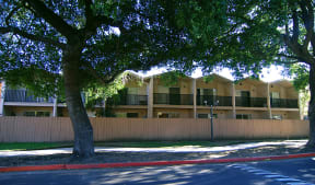 The street view of the Aegena apartment townhomes with fenced patios and a tree on the left hand side Prodesse Property Group 1211 Garbo Way  San Jose, CA 95117