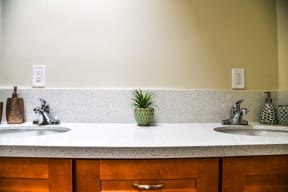 a bathroom with two sinks and a plant on the counter