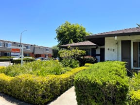 Front entrance way of the Exterior of the building with lots of Greenery Prodesse Property Group 418 Brahms Way Sunnyvale CA 94087