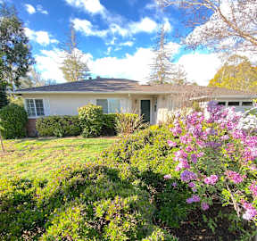 a house with a garden in front of it