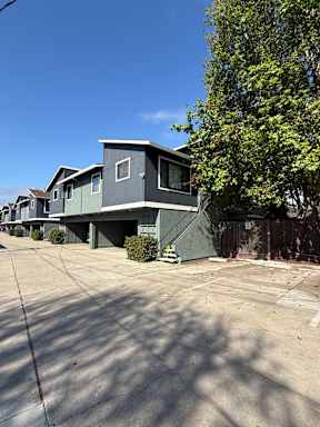 A row of houses with a tree in front of the first house.