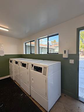 A row of washing machines are lined up in a laundry room.