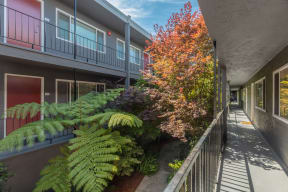 Villa Alameda Apartments 840 Villa Avenue  San Jose, CA 95126