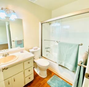 a bathroom with a shower toilet and a sink