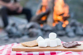 Fireside Smores
