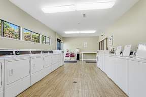 A laundromat with rows of washers and dryers.