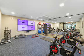 Spacious Gym at Viva Lakeshore, Massachusetts