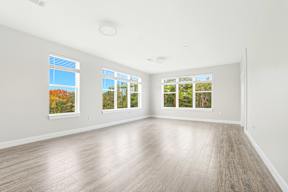 Room with Multiple Windows at Viva Lakeshore, Bridgewater