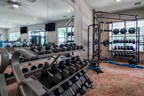 A gym with a variety of equipment including dumbbells and weight plates.