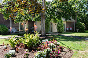 front yard with flowers and a tree in front of a house