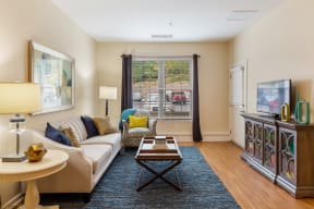 a living room with a couch and a tv and a window