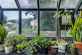 a greenhouse filled with plants in front of a window