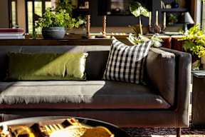 a couch with pillows in a living room with plants