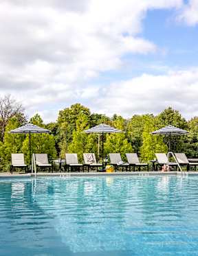 A pool with chairs and umbrellas in front of trees.