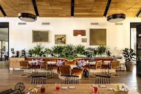 A room with a long table and chairs with a plant in the middle.