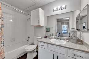a bathroom with a sink and a toilet and a tub