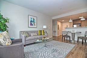 Living room and kitchen of an apartment