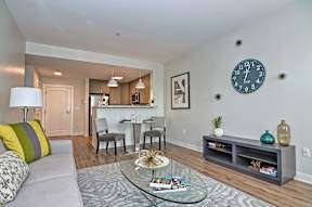 Living room and kitchen of an apartment
