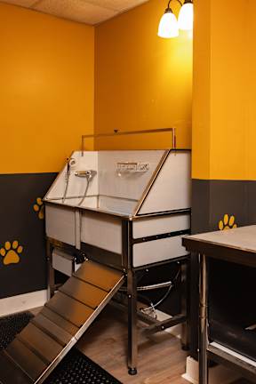 A dog grooming station with a slide and paw prints on the wall.