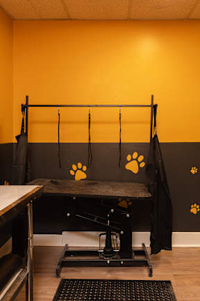 A black dog bed with a yellow paw print on the wall.