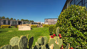 A cactus with red flowers is in the foreground of a building.