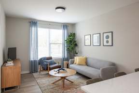 A living room with a grey couch, a wooden cabinet, a coffee table, and a potted plant.