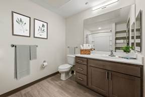 A bathroom with a toilet, sink, and mirror.