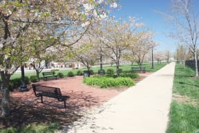 a park with benches and trees and a sidewalk at Cahill House Senior Apartments in St. Louis, MO